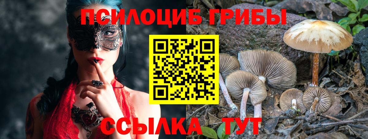 Галлюциногенные грибы GOLDEN TEACHER  Вход с VPN  Вольск 