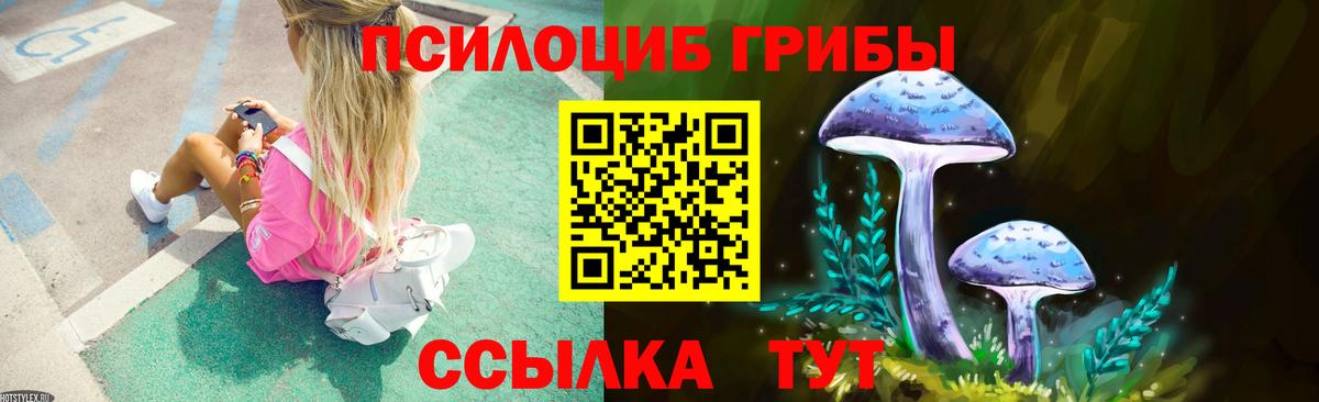 Галлюциногенные грибы мицелий Вольск